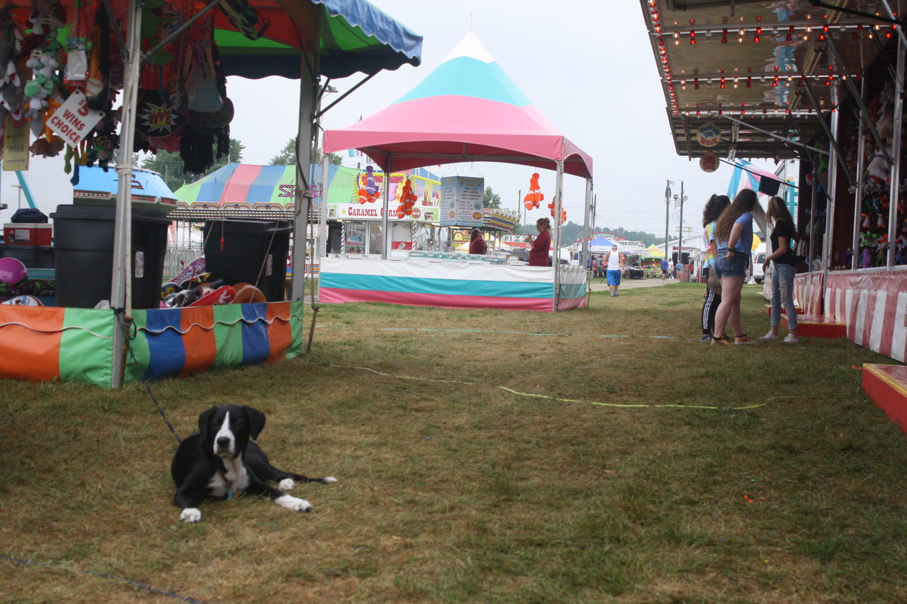 Friday at the 2018 Dodge County Fair (2).JPG